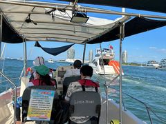 -小猫钓鱼海钓俱乐部(椰梦长廊店)