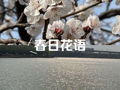 -丁香湖公园