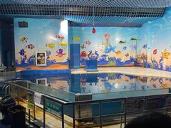 -太平洋海底世界