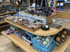 -抱抱地球咖啡馆(国家海洋博物馆店)