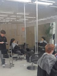 -BOF HAIR BY HONTO