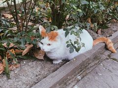 -成都市文殊院