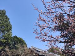 -狼山风景名胜区