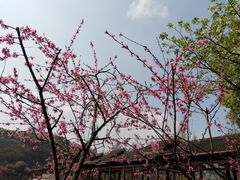 -重庆彩云湖湿地公园