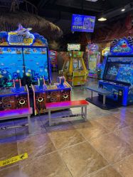 -卡通尼·Safari非洲探索乐园·生日会(金桥国际商业广场店)