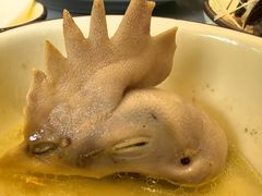 -生态苑农庄(十里画廊遇龙河店)