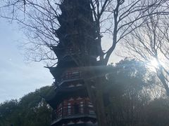 -上海佘山国家森林公园西佘山园