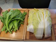 -蝎王府羊蝎子(西直门店)