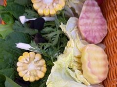 -阿婆情腊排骨火锅(金虹路店)