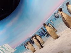 -浙江自然博物院(杭州馆)