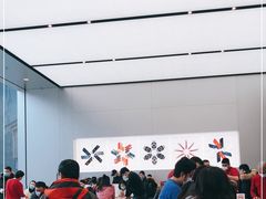 -Apple零售店(成都太古里店)