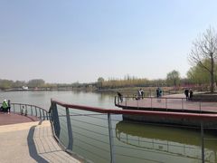-东郊湿地公园