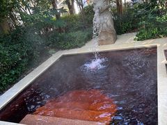 -苏州湾·王焰温泉