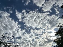 -西双版纳原始森林公园