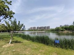-滨湖塘西河公园