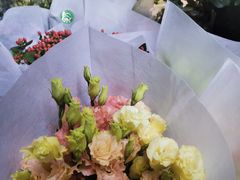 -循礼门鲜花花市(武汉循礼门店)