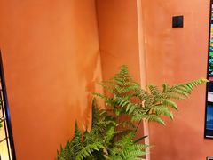 -泰·菩提树下[泰式按摩x精油SPAx肩颈头疗](新景店)