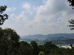 -黄埔油麻山森林公园