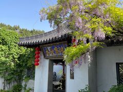 -徐州龟山景区