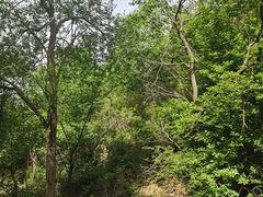 -遵化市禅林寺古银杏风景园