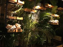 -大头椰·椰子鸡火锅(南宁万象城店)