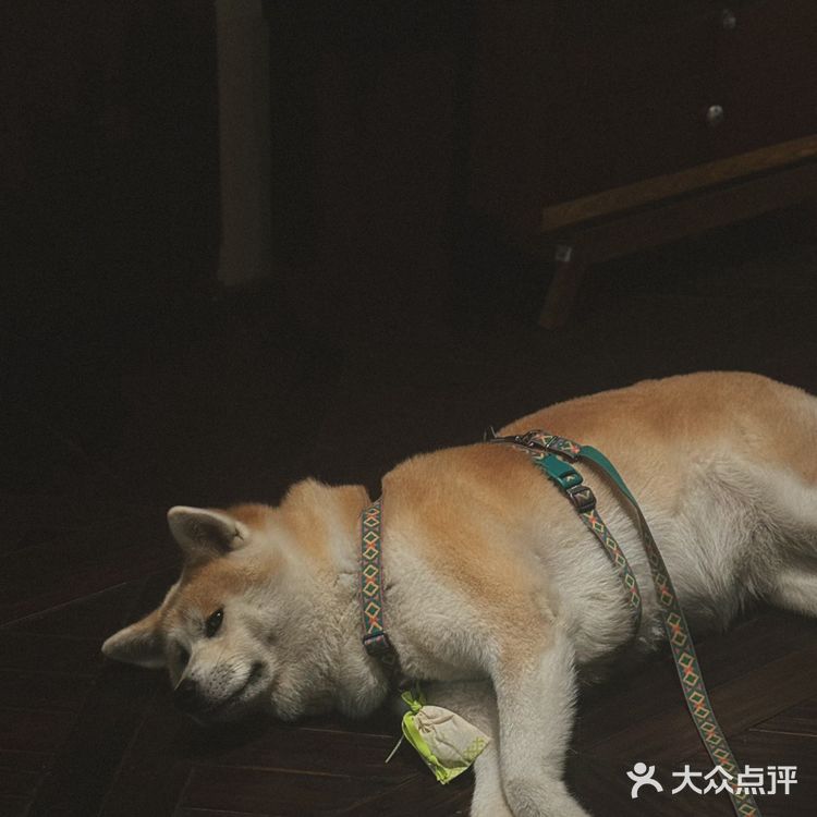 🎬旁观者视角下的一切