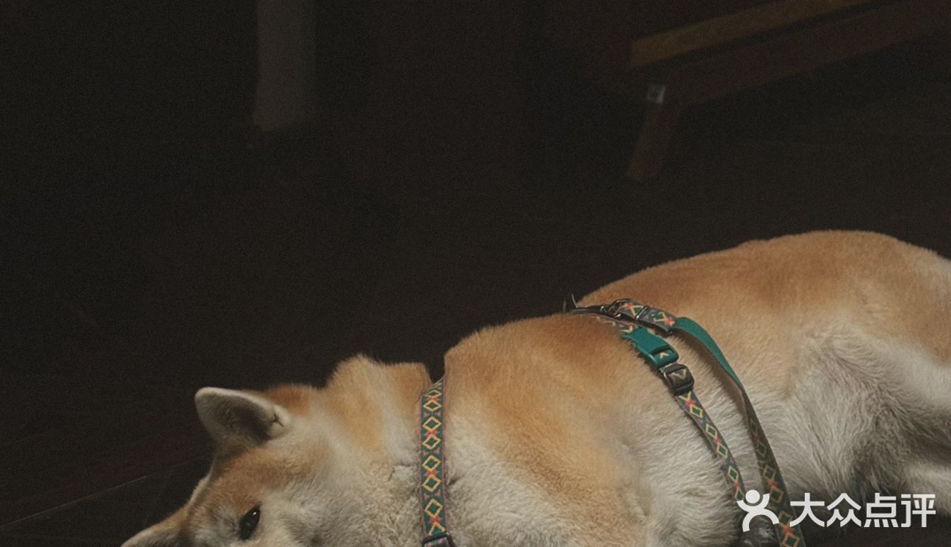 🎬旁观者视角下的一切