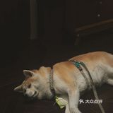 🎬旁观者视角下的一切