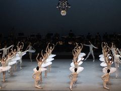 -北京大学百年讲堂