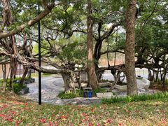 -广东中医药博物馆