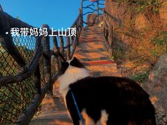 -会仙湿地