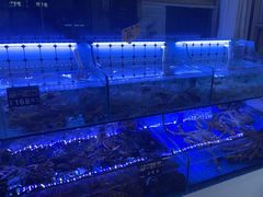 -日照大牌檔•小船海鲜(万平口店)