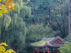 -香山公园