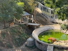 -石家庄市动物园