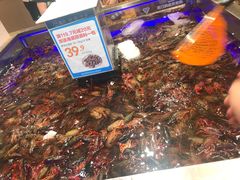-盒马X会员店(王府井奥莱UP TOWN店)