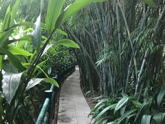 -广州兰圃