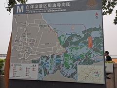 -白洋淀景区