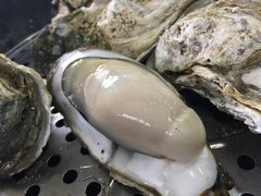-蚝专家(北滘店)