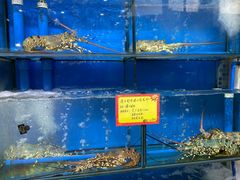 水产区-蚝专家(北滘店)