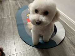 -派特宠物医院(圆融广场店)