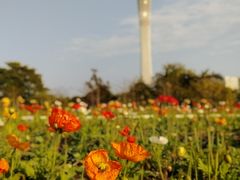-二沙岛艺术公园
