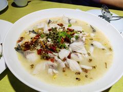 鲜花椒泉水鱼-湖畔鲁菜·二十年老字号餐厅(大明湖店)