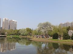 -堤角公园