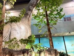 -湖南省地质博物馆