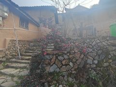 -杨家堂村
