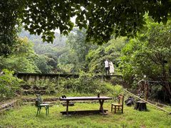 -梧桐山风景名胜区