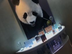 -ARC弧线沙龙