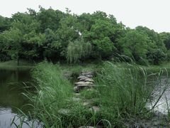 -长广溪湿地公园