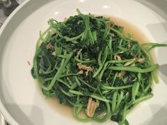 -粤珍轩·家宴·广式茶点(新城广场店)