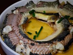 -天鹅到家·保姆月嫂育儿嫂(总店)